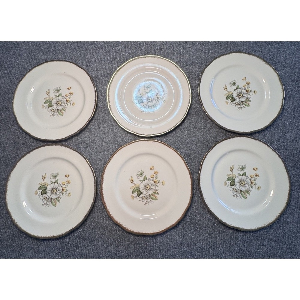Set Of 6 Canonsburg White Magnolia 22K Gold Plates - Picture 2 of 7